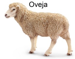 owca-oveja